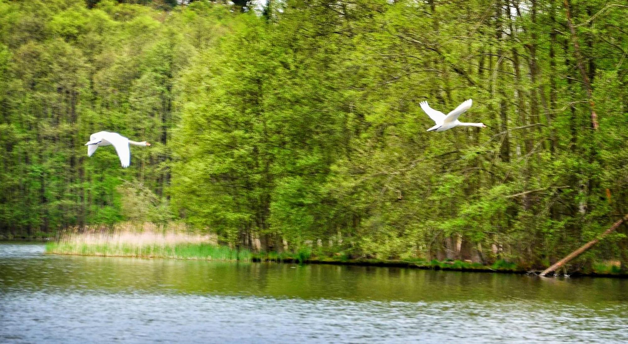 Gospodarstwo Nad Jeziorem Zalom  Exterior foto