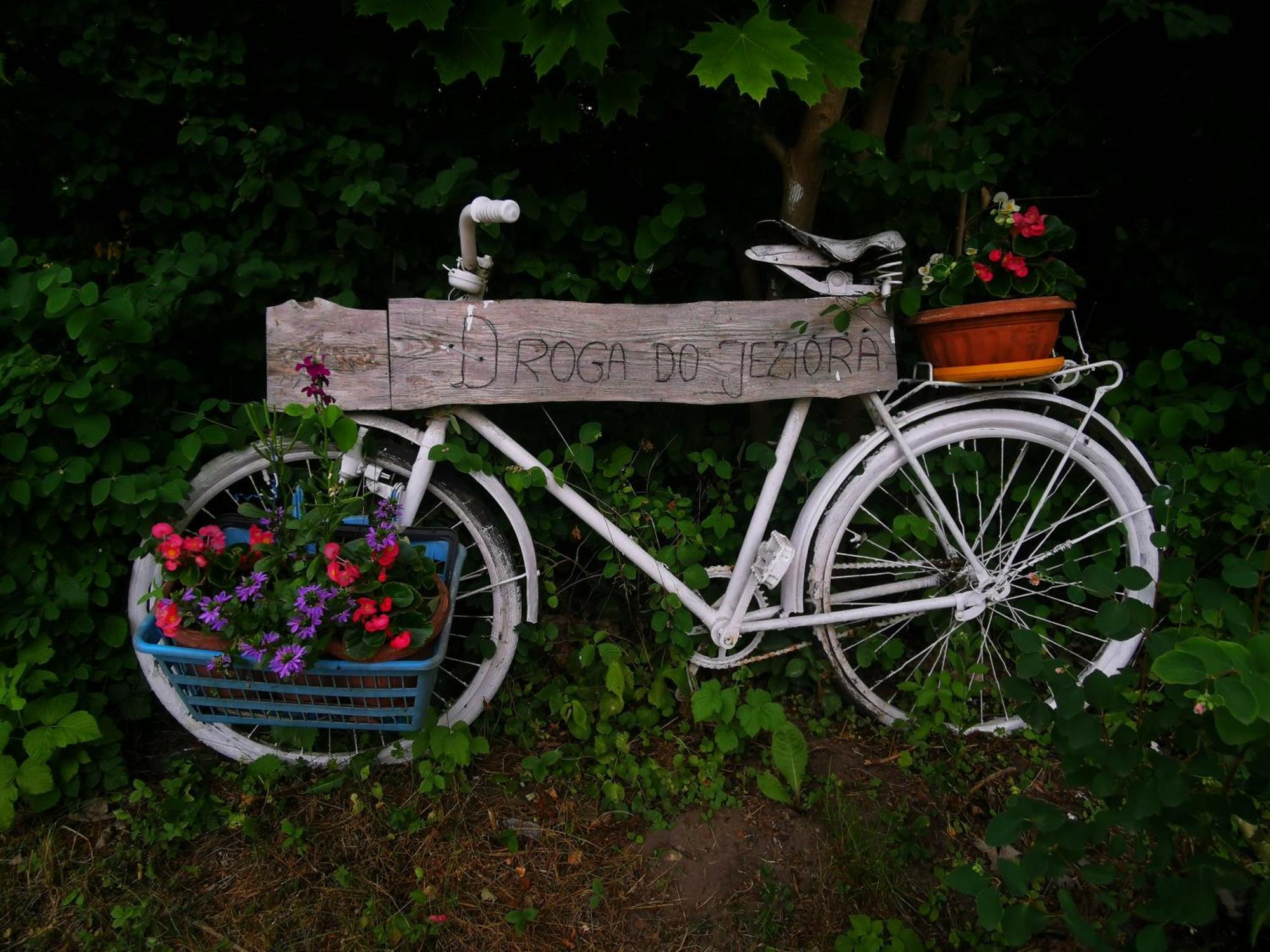 Gospodarstwo Nad Jeziorem Zalom  Exterior foto